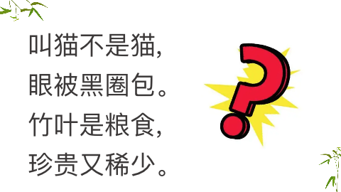图片2：课程内容.png