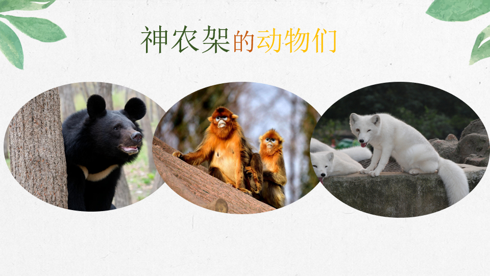 图2：课程内容.png