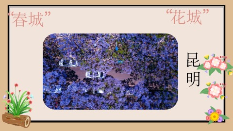 图2：课程内容.jpg